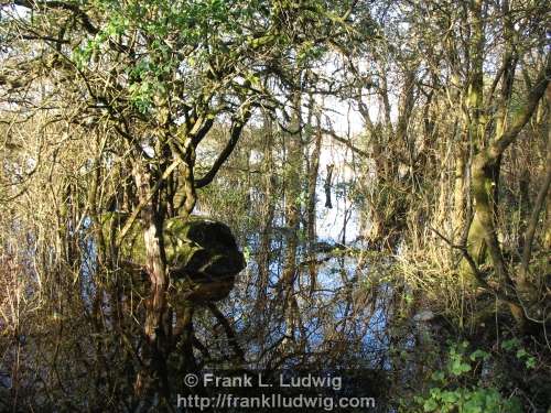 Coole Park, County Galway